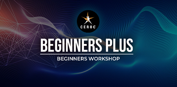 Beginner Plus Workshop 