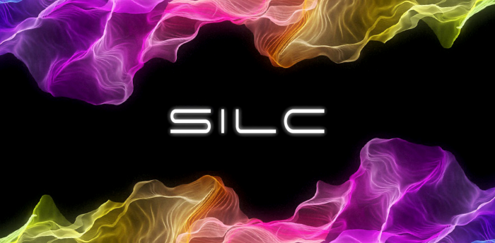 SILC Developmental 2 Workshop