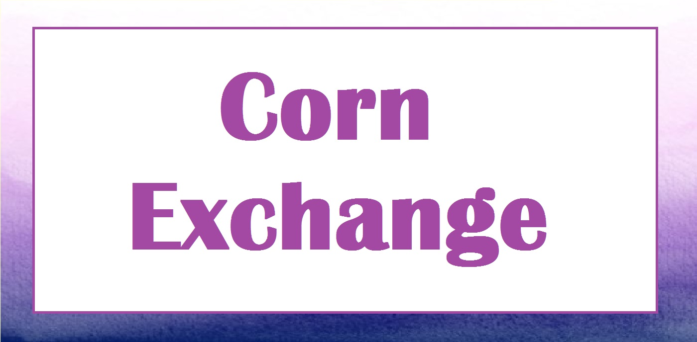 Corn Exchange Split Freestyle
